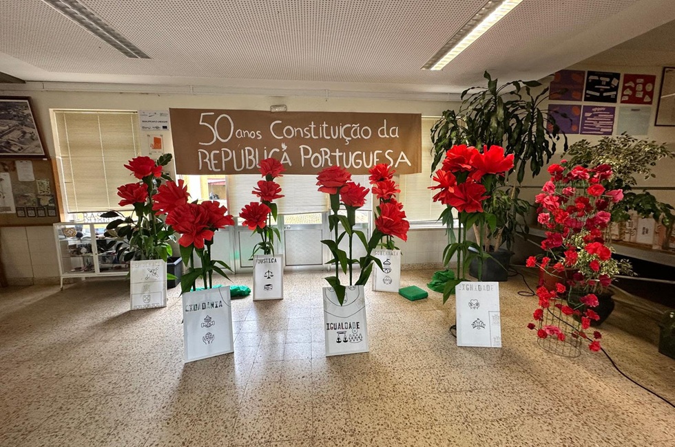 50anosconstituicao2