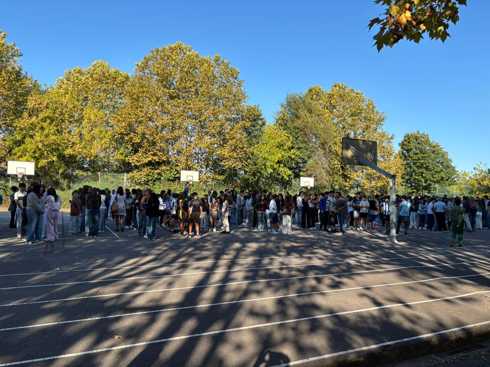 Imagem WhatsApp 2025 10 09 às 15.58.37 93e7acdd