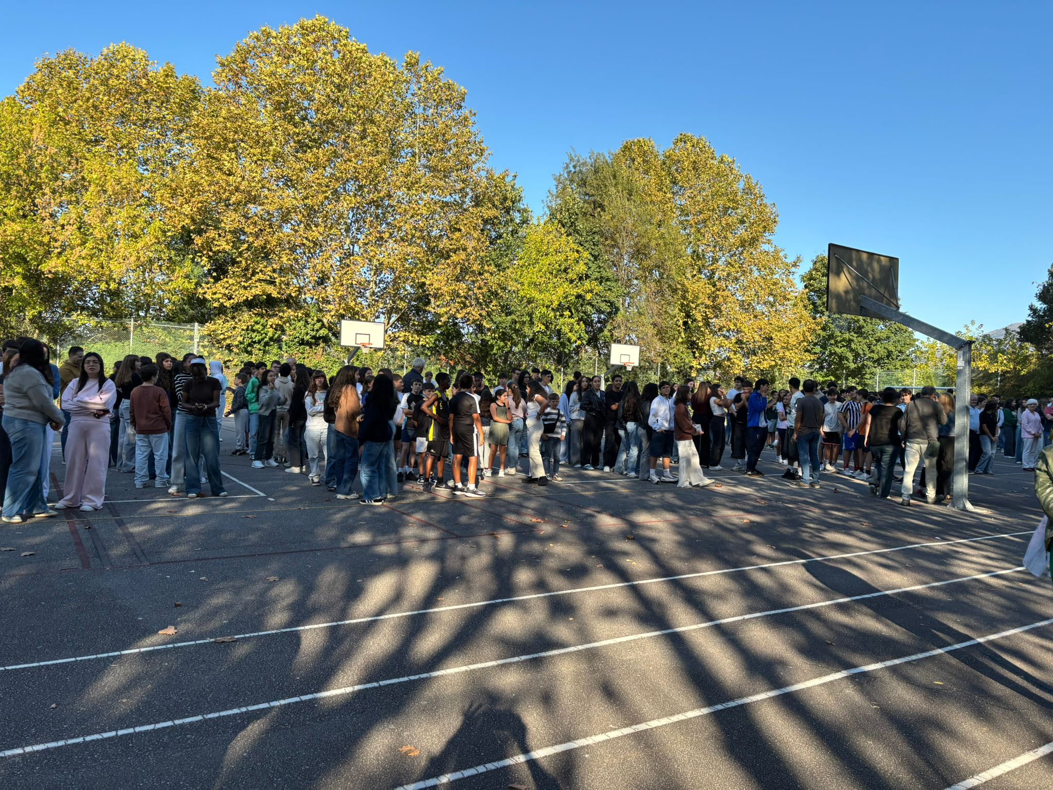 Imagem WhatsApp 2025 10 09 às 15.58.41 8b8f7c45