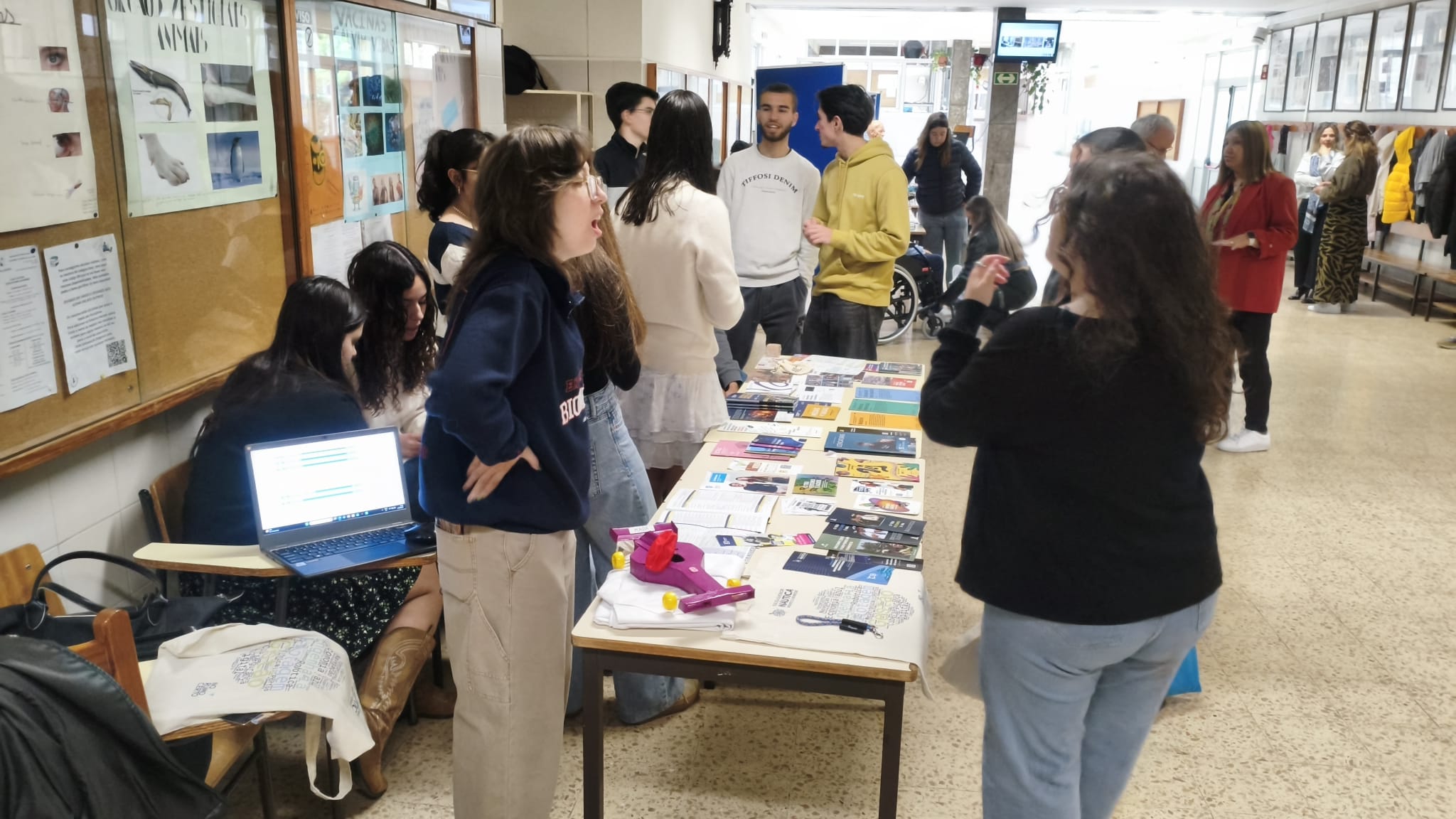 Mostra_2026_13.jpeg
