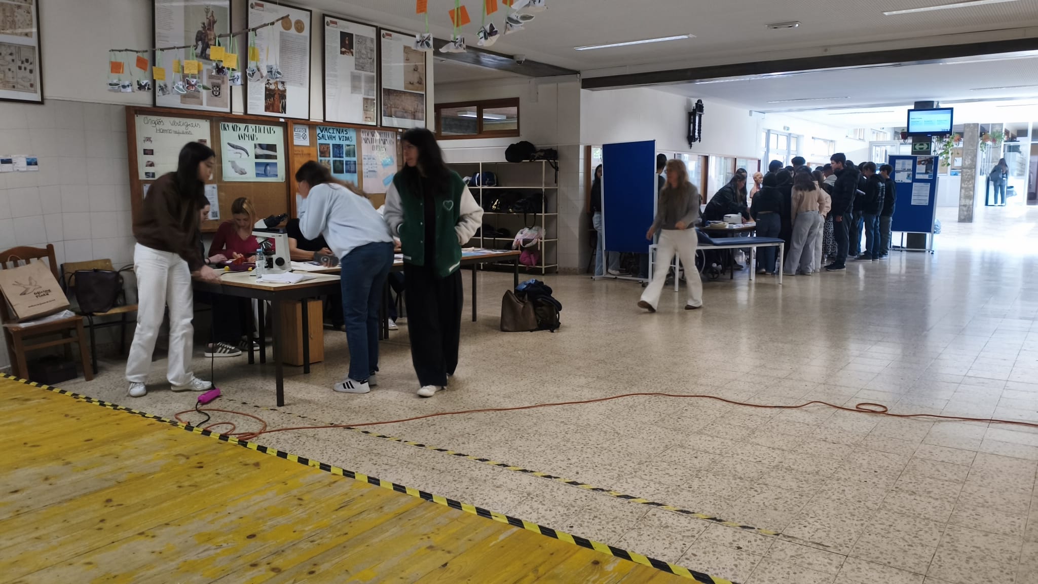 Mostra_2026_2.jpeg